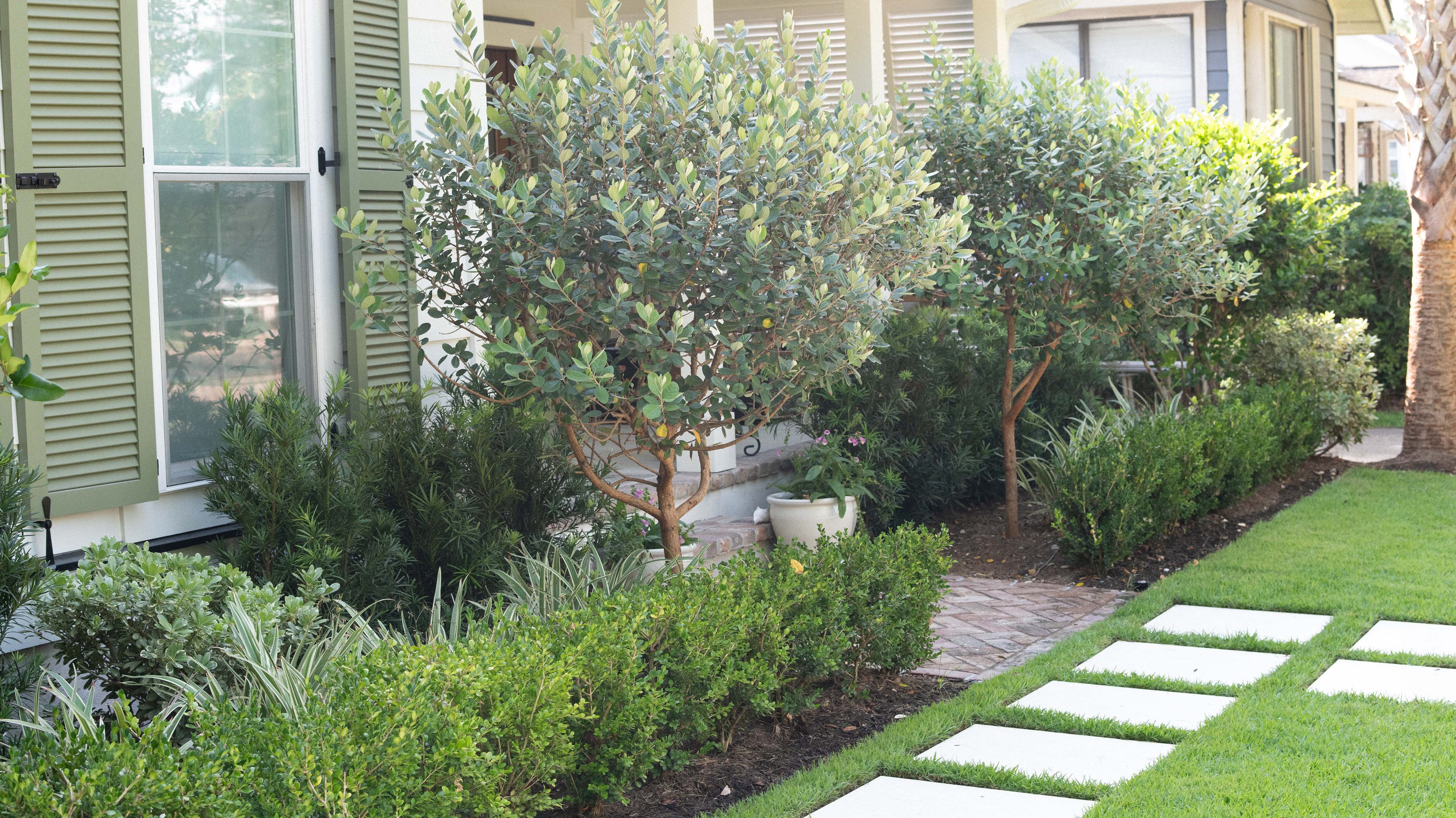 Before & After: Our Charleston Exterior Transformation