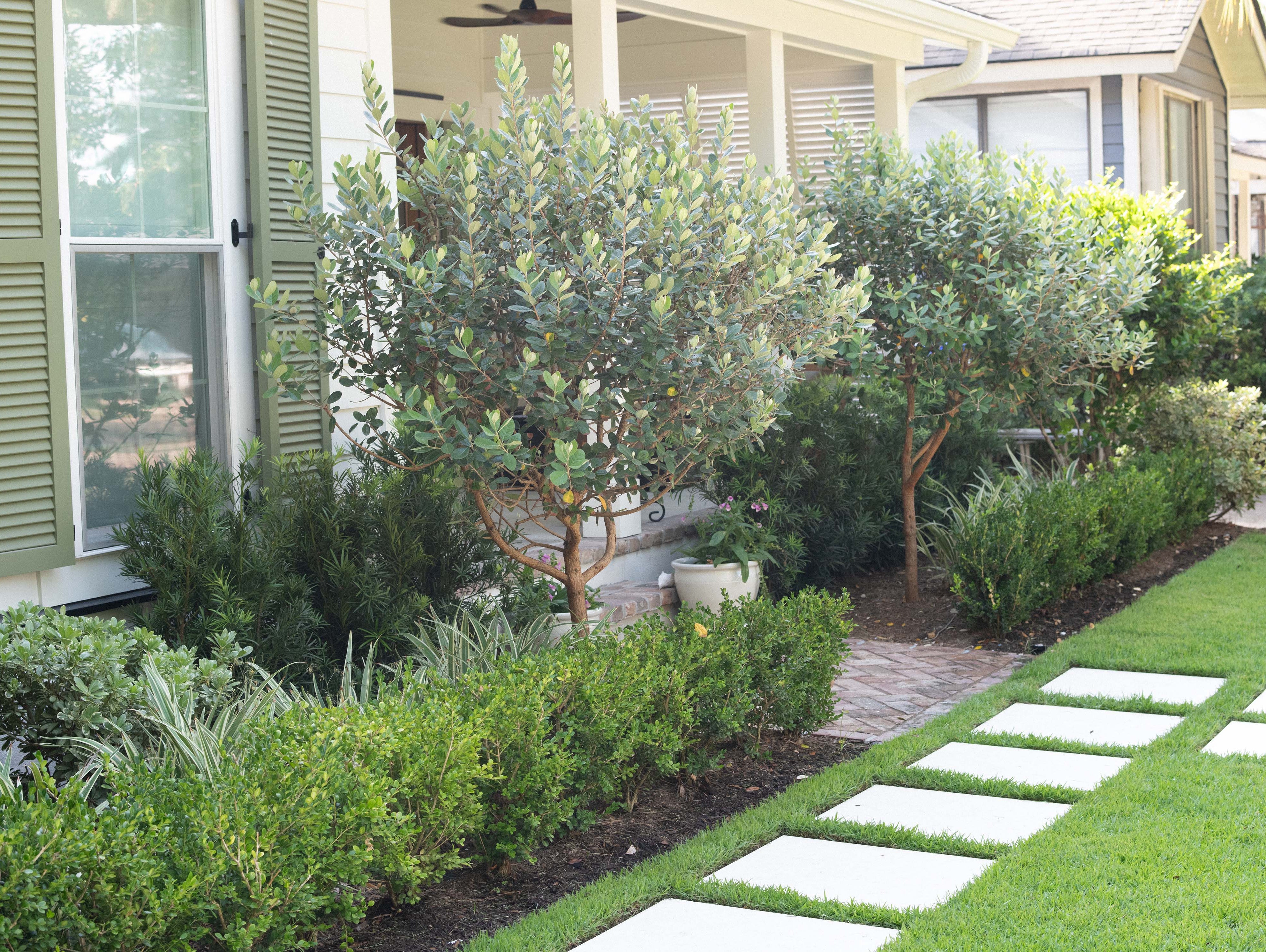 Before & After: Our Charleston Exterior Transformation