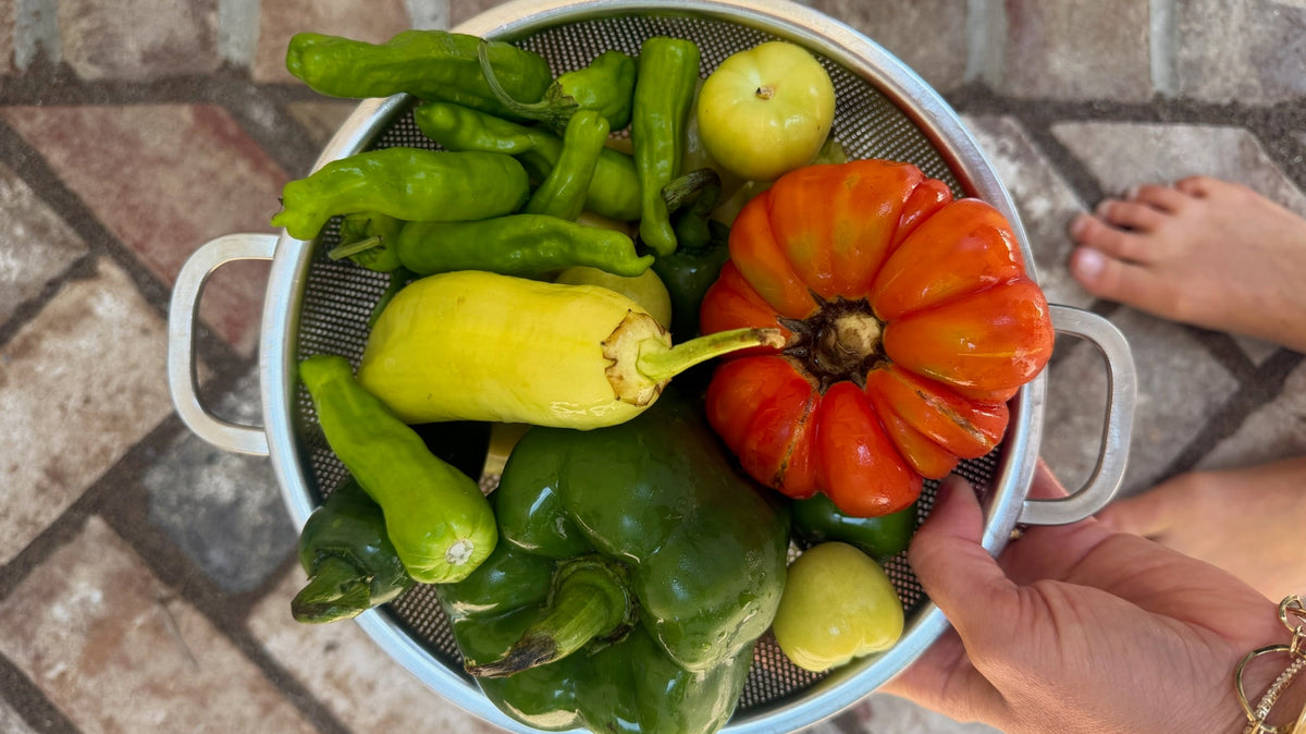 Local farm produce from a Charleston CSA subscription