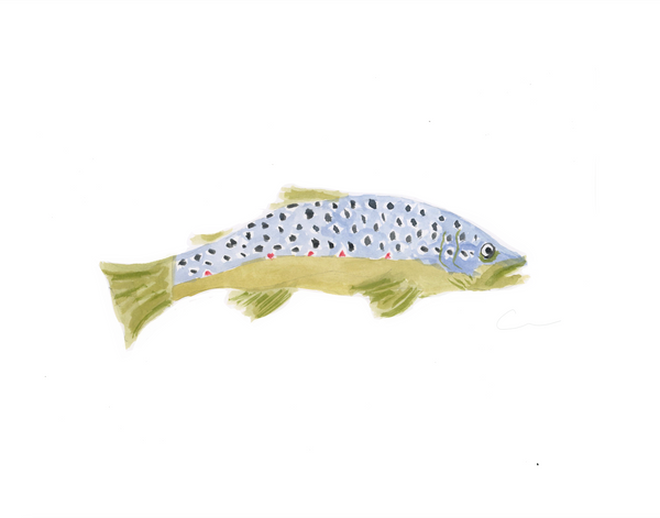 Trout PRINTS Bundled or Individual
