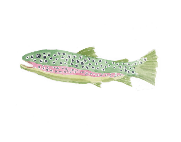 Trout PRINTS Bundled or Individual