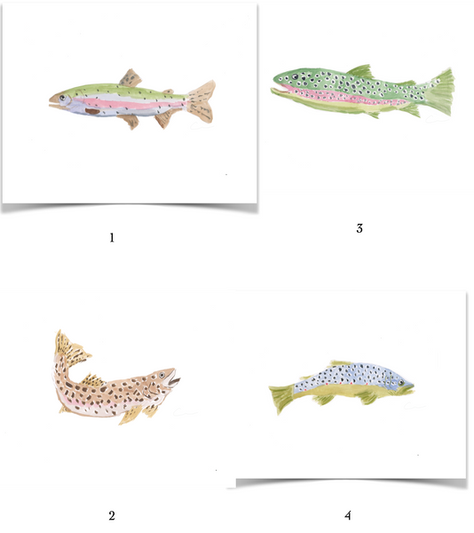 Trout PRINTS Bundled or Individual