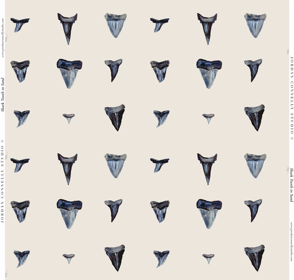 Shark Tooth in Sand- Wallpaper