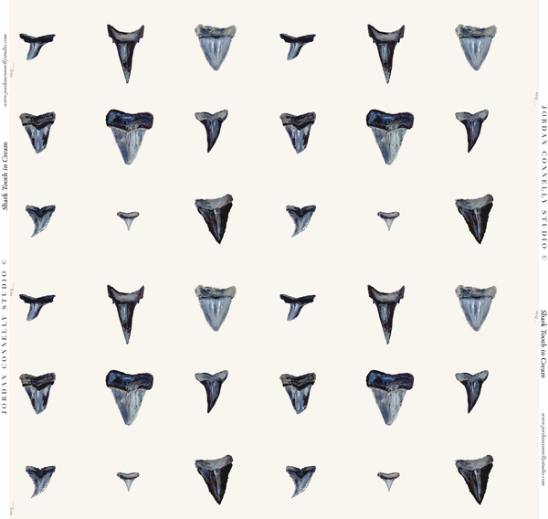 Shark Tooth in Cream- Wallpaper