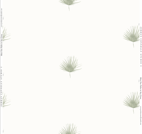 Mini Fan Palm- Wallpaper