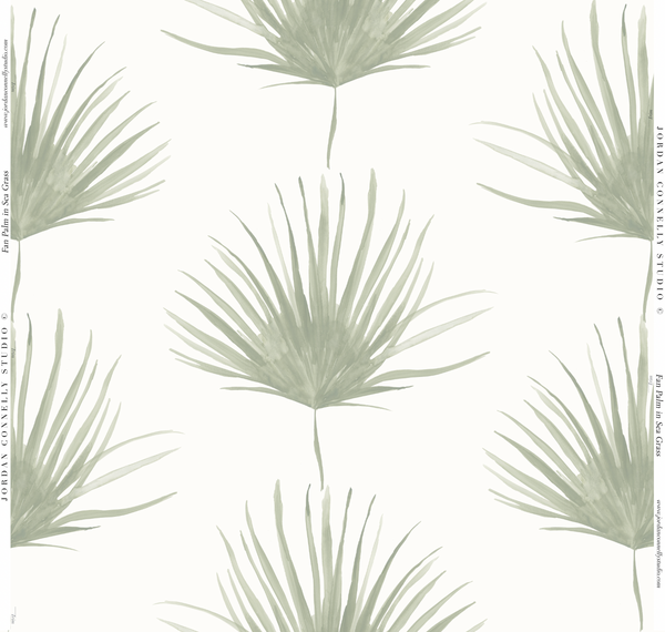 Fan Palm- Wallpaper