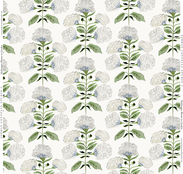 Hydrangea Bloom in Garden- Wallpaper