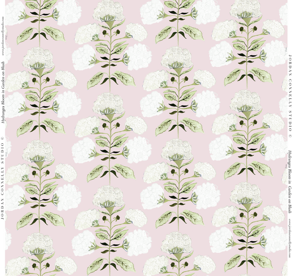 Hydrangea Bloom in Garden on Blush- Wallpaper