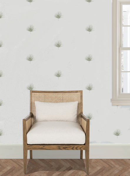 Mini Fan Palm- Wallpaper