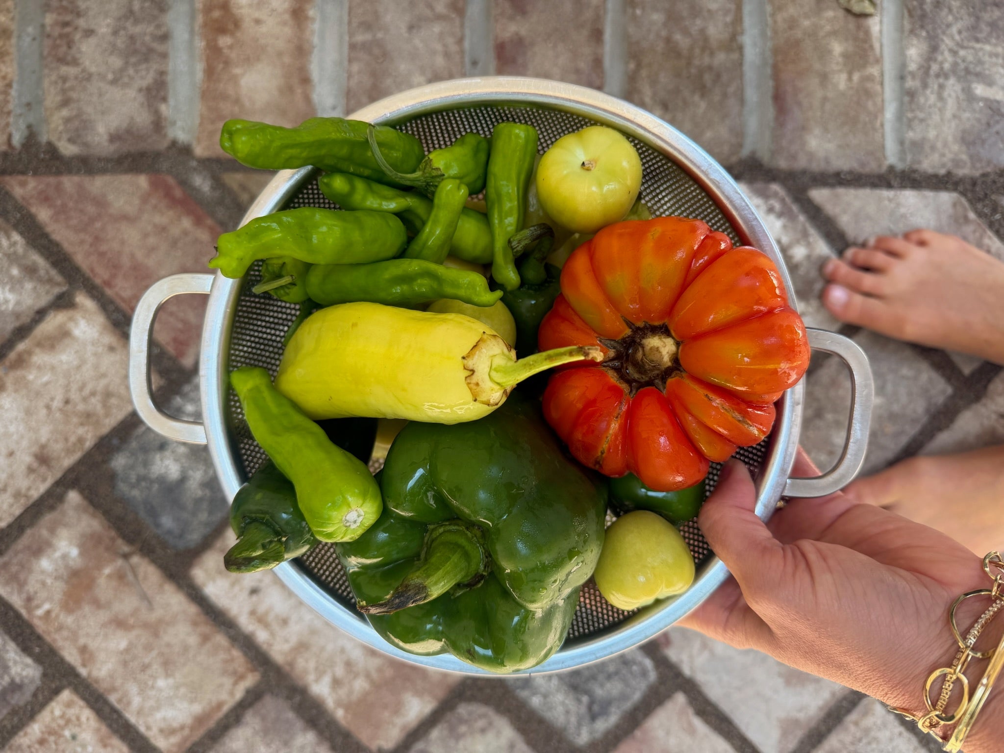 Local farm produce from a Charleston CSA subscription