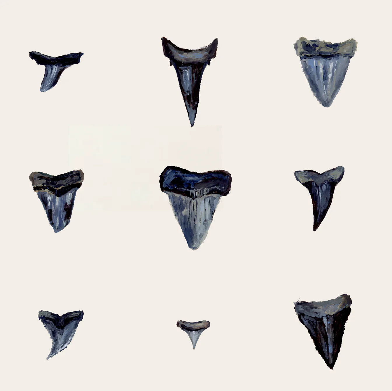 Prints- Shark Teeth & Shells