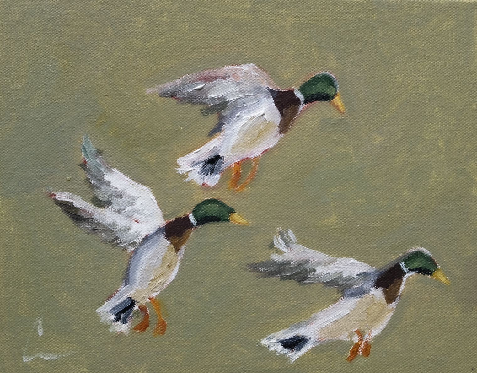 Three Little Birds (1a) - 10X8" (comes framed)