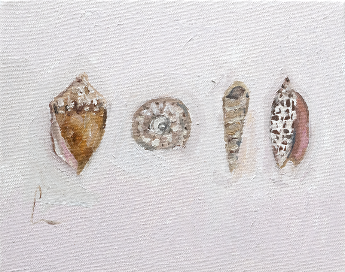 Four Shells (2g) - 10X8"