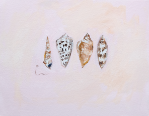 Four Shells (2c) - 14X11" (Comes Framed)