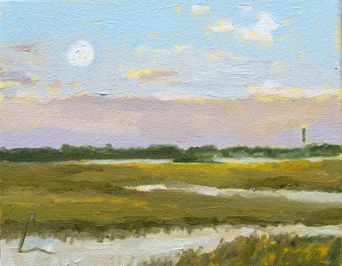 Ash Marsh (1g) - 10x8" (Comes Framed)