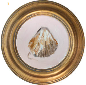 Atlantic Cockle 1 -5x5 (~7"x7 framed)