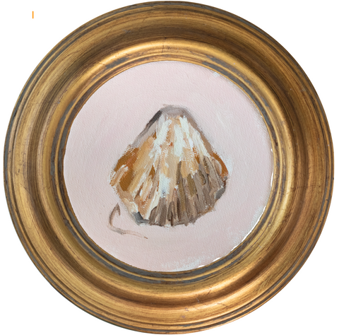Atlantic Cockle 1 -5x5 (~7"x7 framed)