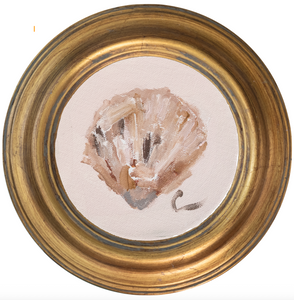 Atlantic Cockle 2 -5x5 (~7"x7 framed)