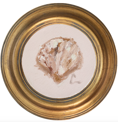 Atlantic Cockle 3 -5x5 (~7"x7 framed)