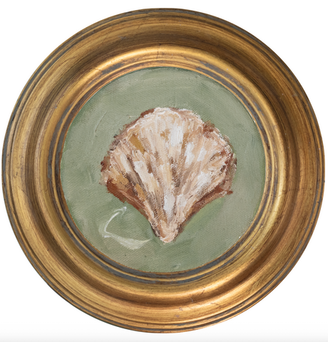 Atlantic Cockle 4 -5x5 (~7"x7 framed)