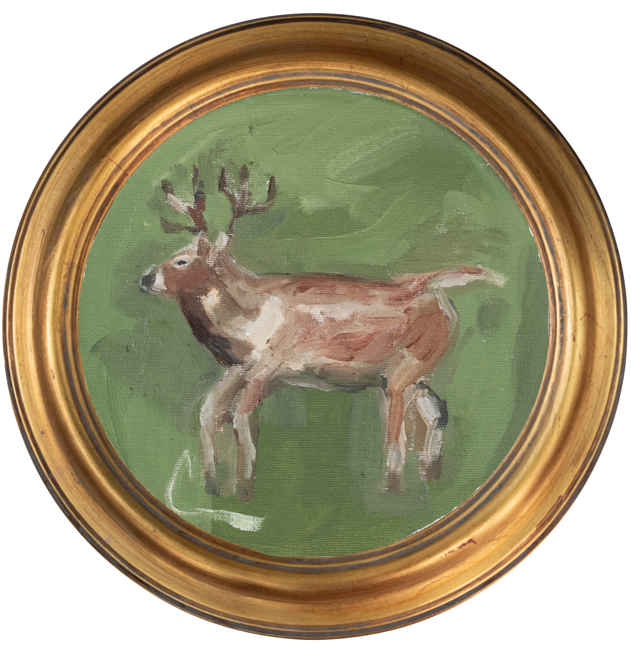 Buck 1 -8x8 (~10"x10 framed)