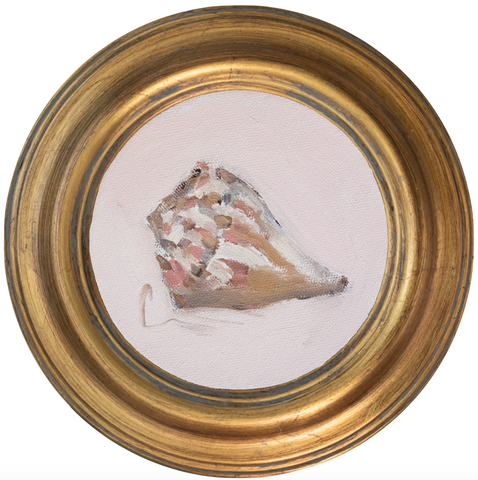 Conch-5x5 (~7"x7 framed)