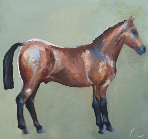 Equine Therapy (7b)- 48X48" (Framed)