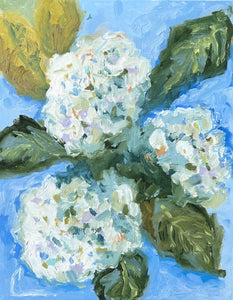 Hydrangea Blooms 1- 11x14