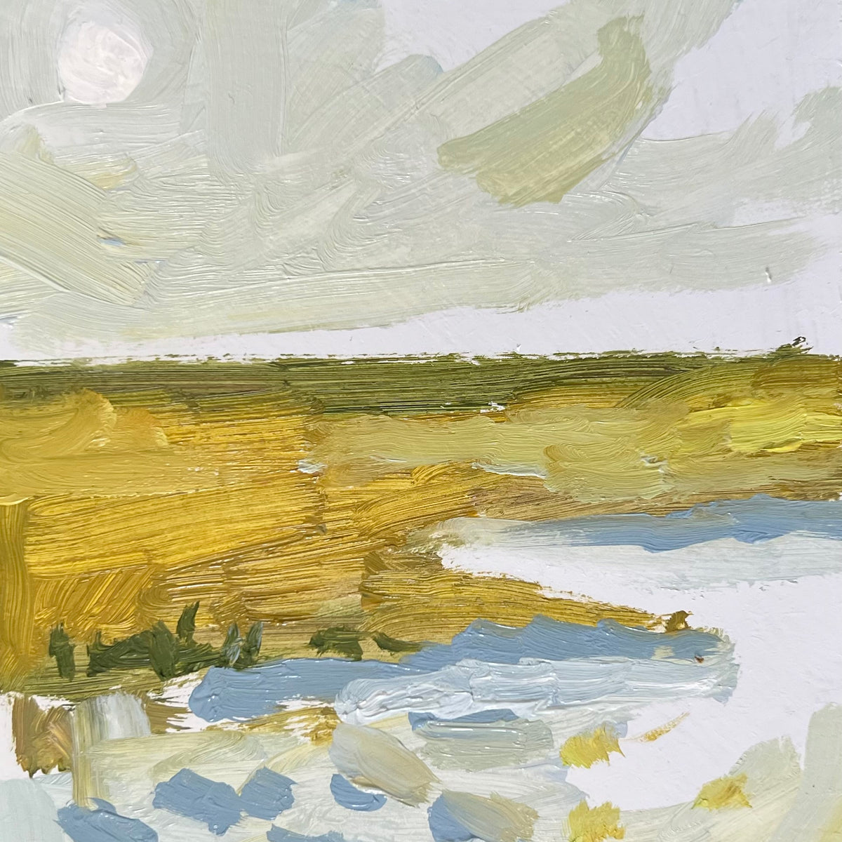 Mini Moon Marsh 11 – Jordan Connelly Studio