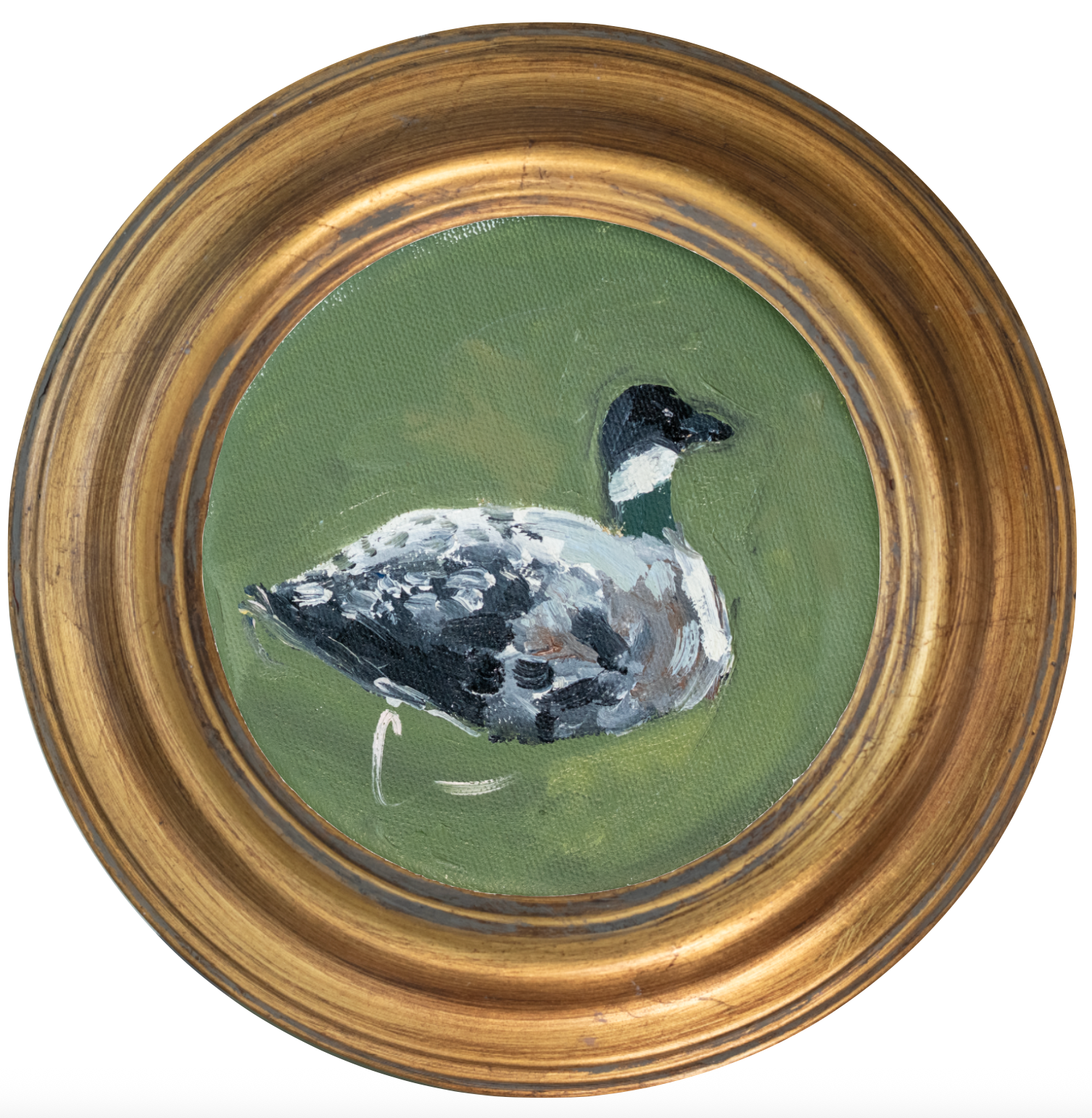Loon 1 -5x5 (~7"x7 framed)
