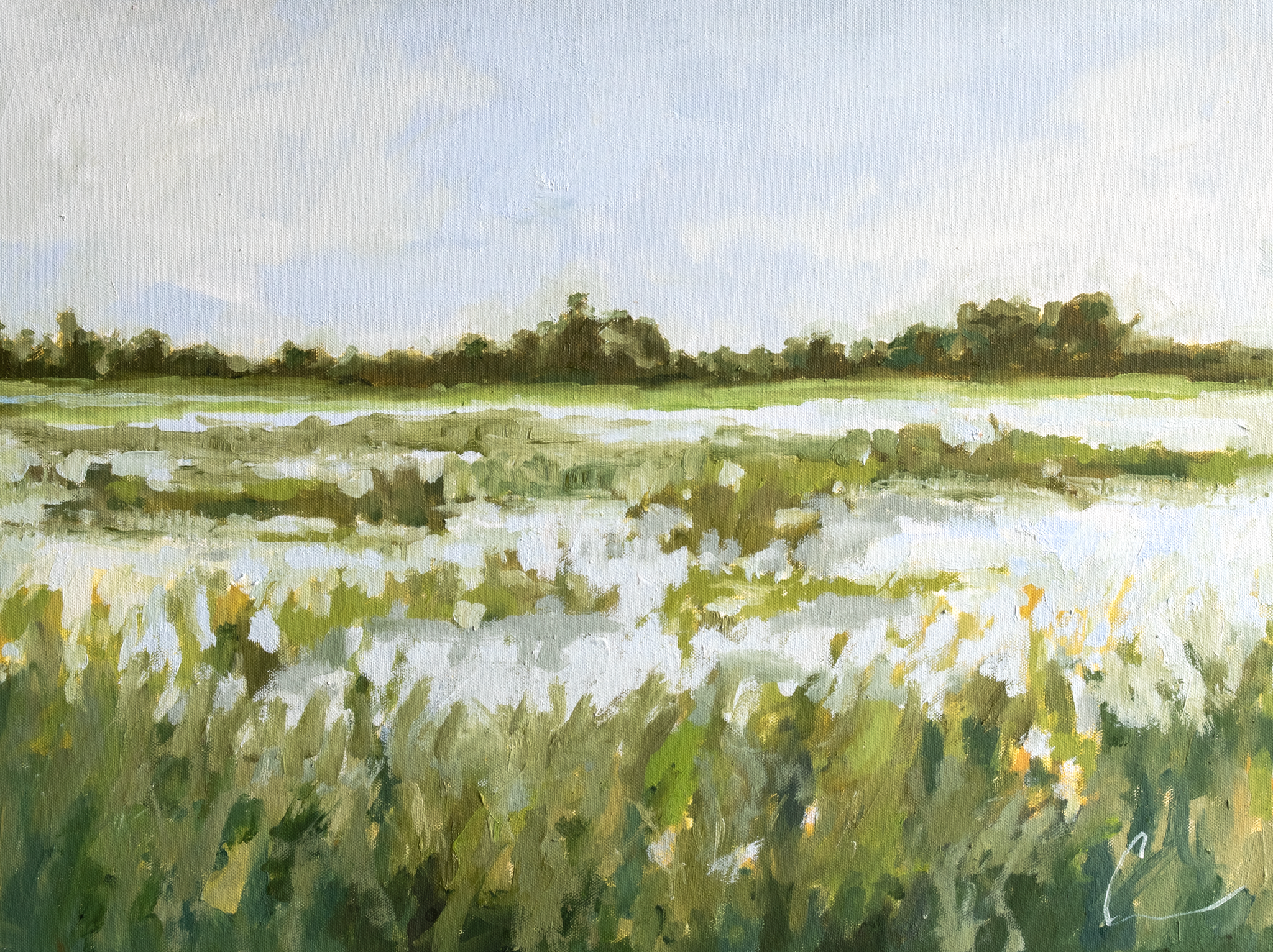 Lowcountry 2 (1q) - 24X18" (Comes Framed)