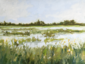 Lowcountry 2 (1q) - 24X18" (Comes Framed)