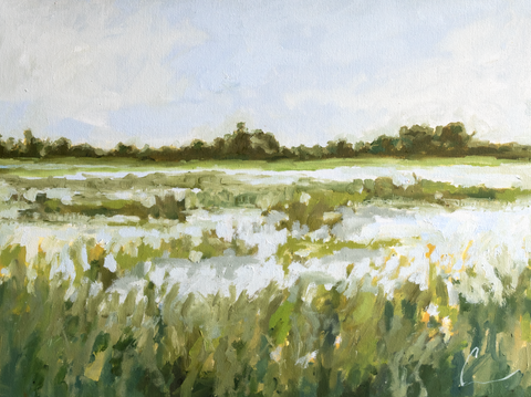 Lowcountry 2 (1q) - 24X18" (Comes Framed)