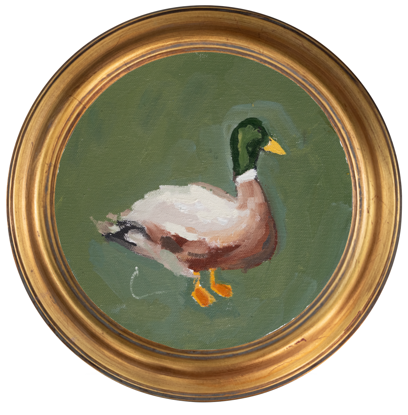 Mallard 4 -8x8 (~10"x10 framed)