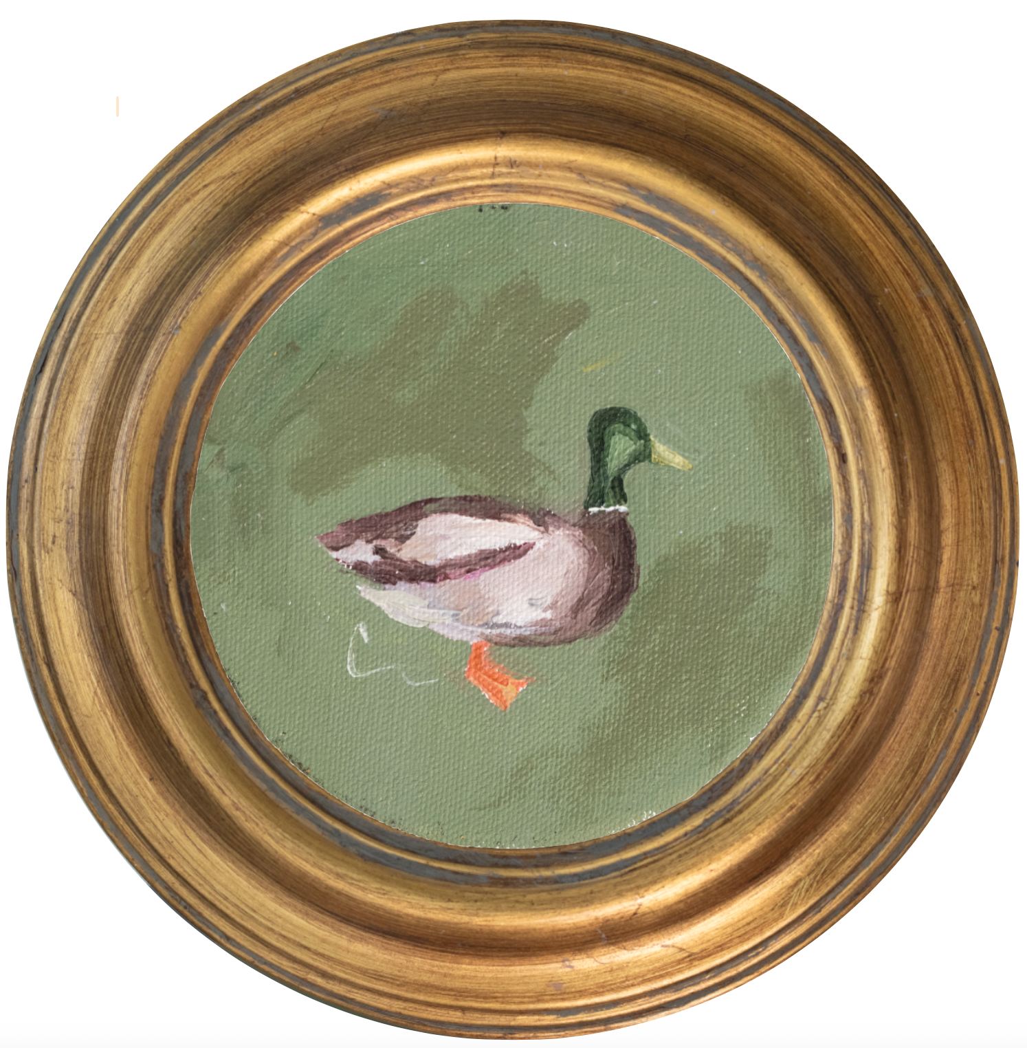 Mallard 5 -5x5 (~7"x7 framed)