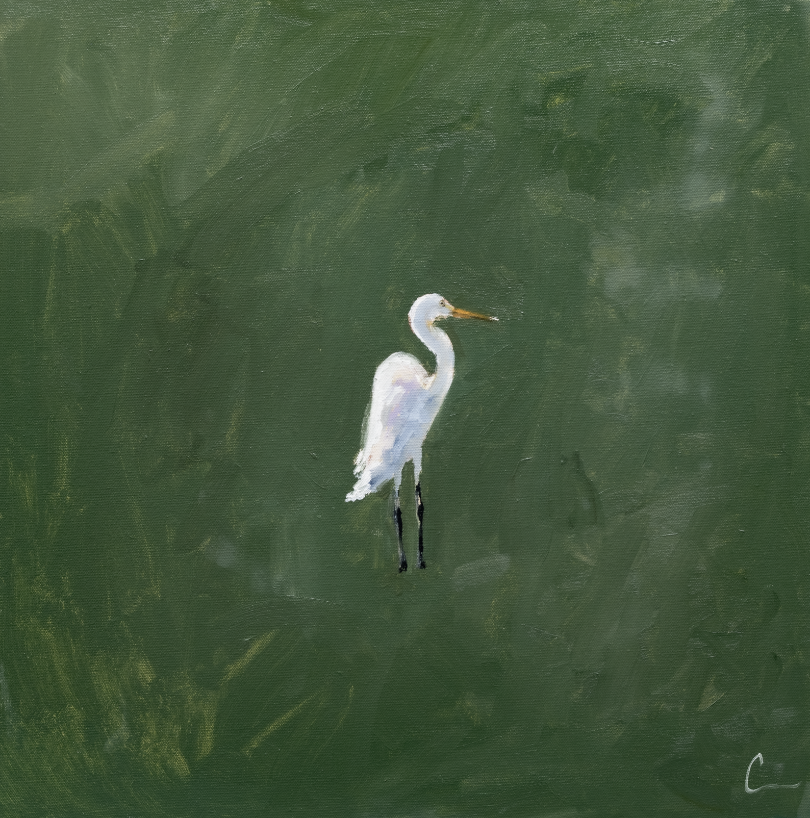 Marsh Egret 1 (1r) - 20" (Comes Framed)