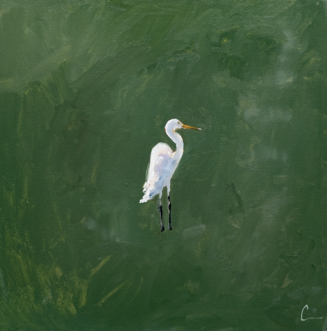 Marsh Egret 1 (1r) - 20" (Comes Framed)