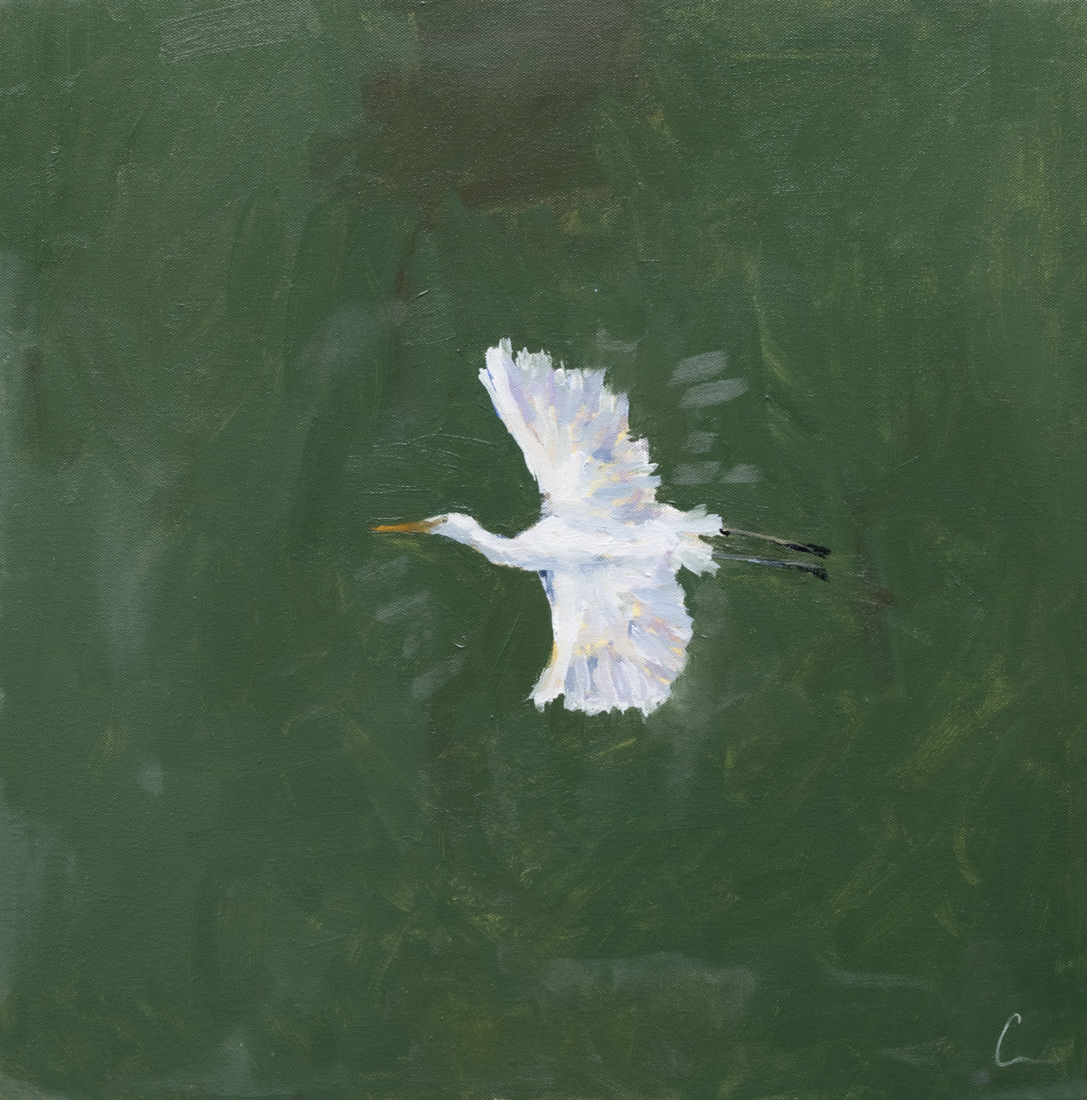 Marsh Egret 2 (1s) - 20X20" (Comes Framed)