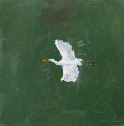 Marsh Egret 2 (1s) - 20X20" (Comes Framed)