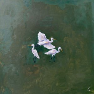 Marsh Egret Trio - 30x30" (Comes Framed)