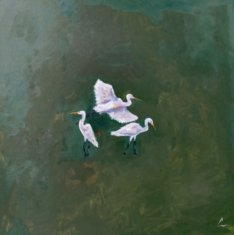 Marsh Egret Trio - 30x30" (Comes Framed)