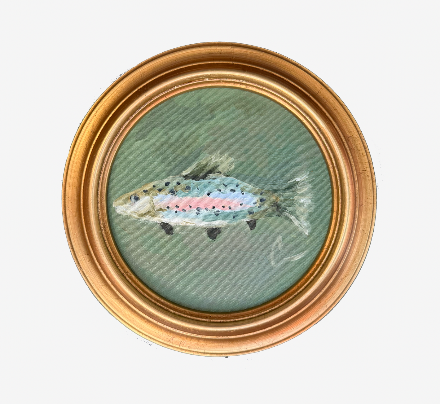 Rainbow Trout (7f)- 8X8"