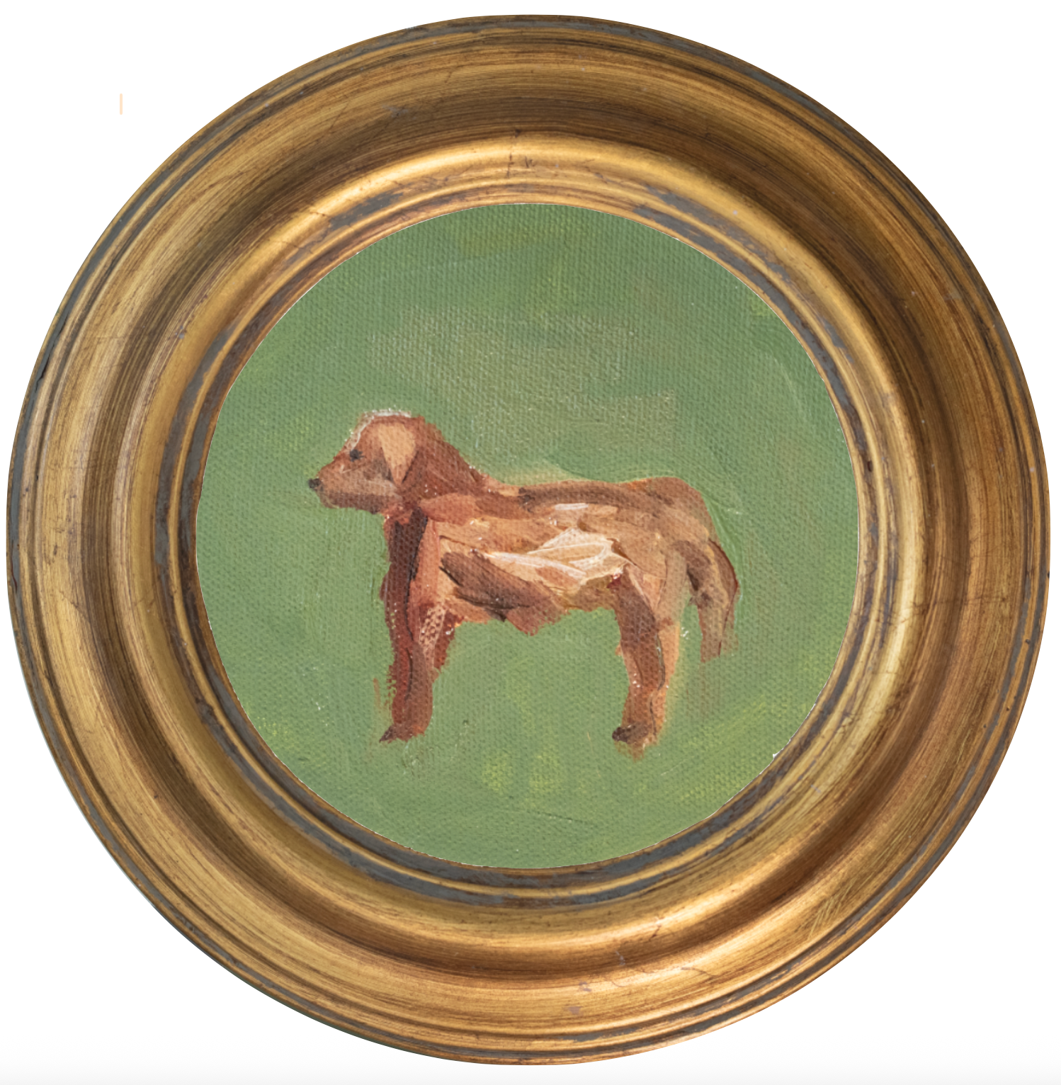 Red Golden -5x5 (~7"x7 framed)