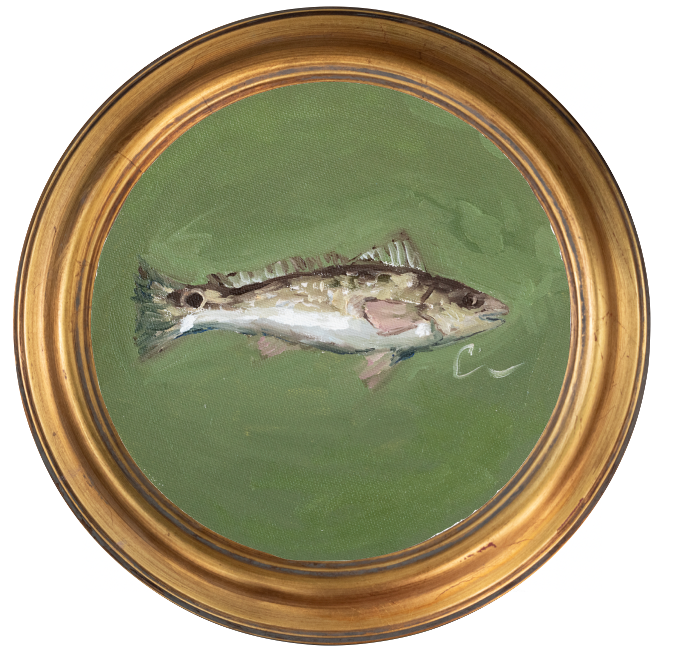 Redfish 1 -8x8 (~10"x10 framed)