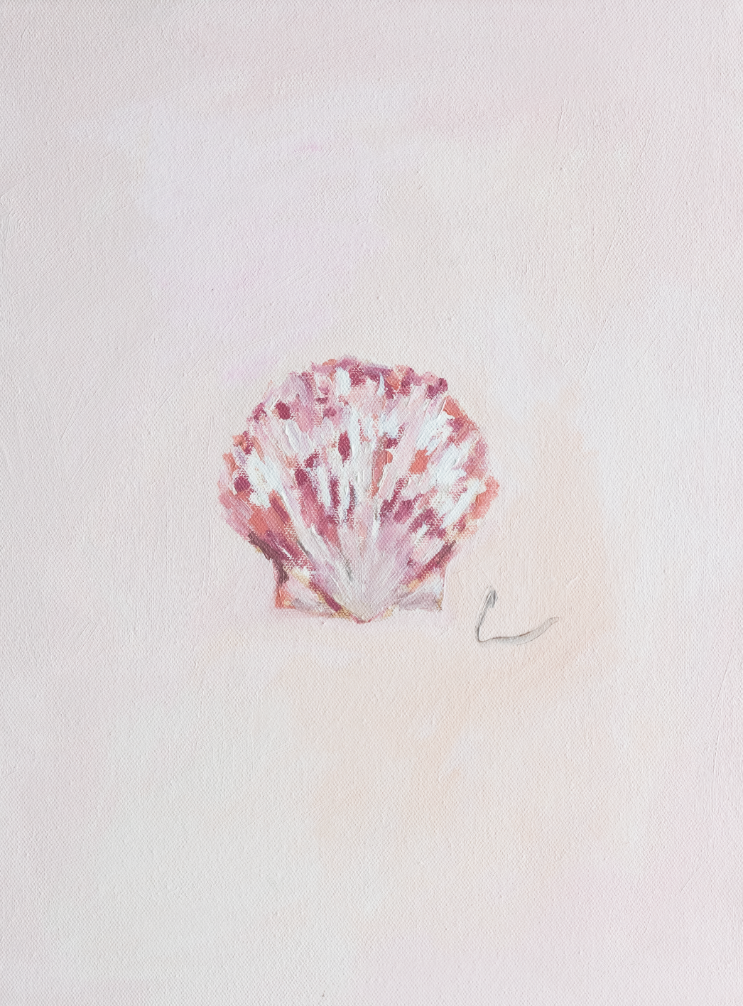 Scallop (2a) - 12X16" (Comes Framed)