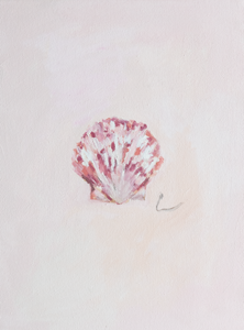 Scallop (2a) - 12X16" (Comes Framed)