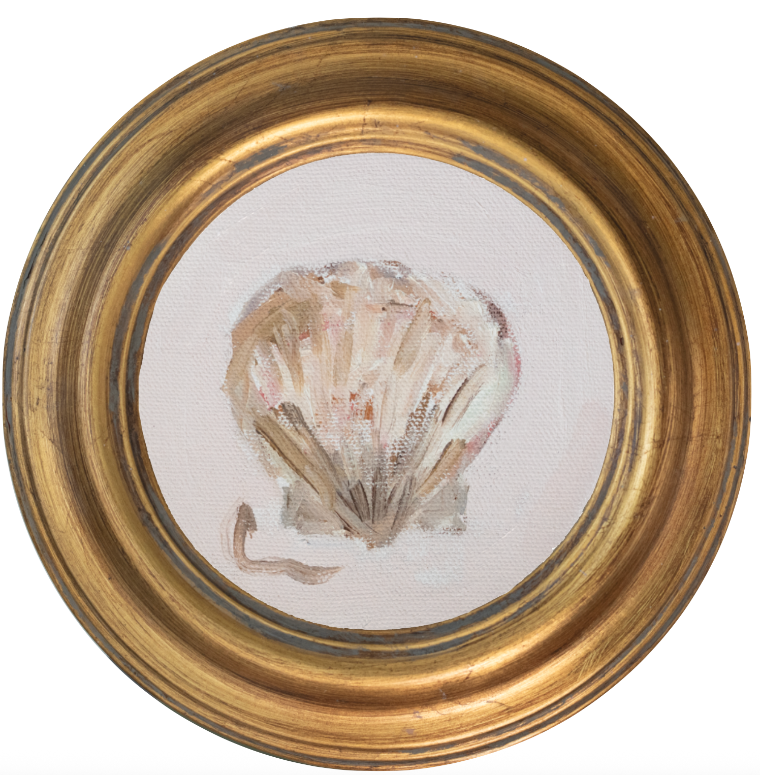 Scallop 4 -5x5 (~7"x7 framed)