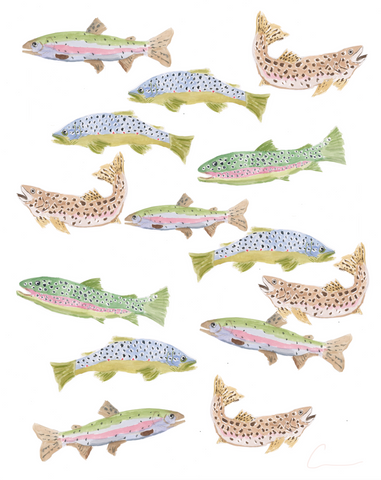 Trout Hover PRINT