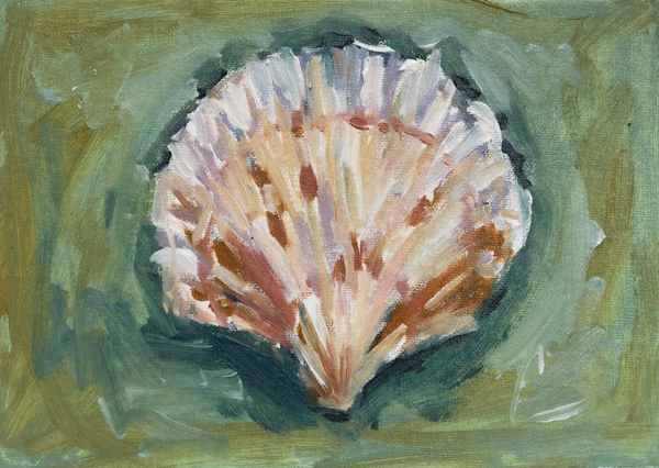 Shell en Plein Air 1- 5x7 (13x11)