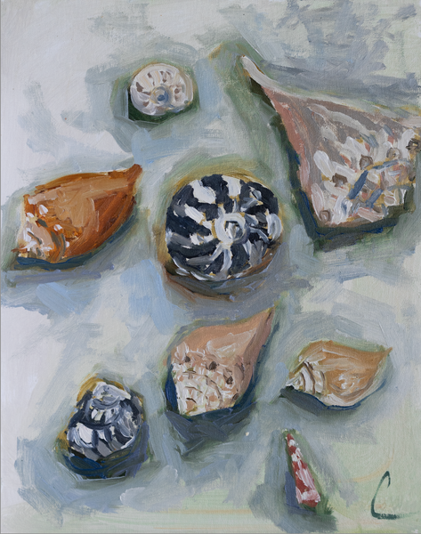 Shells en Plein Air 4- 11x14 (16.5x19.5)